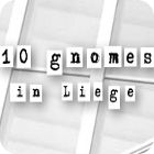 เกมส์ 10 Gnomes in Liege