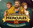 เกมส์ 12 Labours of Hercules VII: Fleecing the Fleece