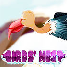เกมส์ Birds Nest เกมส์ Birds Nest