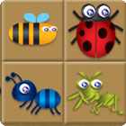 เกมส์ Bug Box