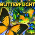 เกมส์ Butterflight