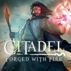 เกมส์ Citadel: Forged with Fire