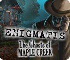 เกมส์ Enigmatis: The Ghosts of Maple Creek