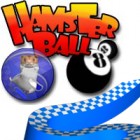 เกมส์ Hamsterball