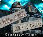 เกมส์ Hidden in Time: Looking-glass Lane Strategy Guide