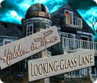 เกมส์ Hidden in Time: Looking-glass Lane