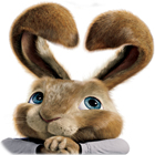 เกมส์ Hop: Easter Bunny Coloring