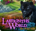 เกมส์ Labyrinths of the World: The Wild Side