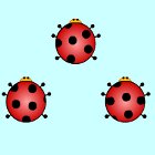 เกมส์ Ladybug Pair Up