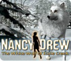 เกมส์ Nancy Drew: The White Wolf of Icicle Creek