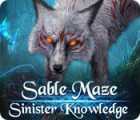 เกมส์ Sable Maze: Sinister Knowledge Collector's Edition