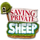 เกมส์ Saving Private Sheep