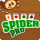 เกมส์ Spider Pro