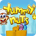เกมส์ Yummy Nuts