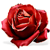 เกมส์ Amanda Rose: The Game of Time