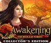 เกมส์ Awakening: The Redleaf Forest Collector's Edition