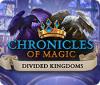 เกมส์ Chronicles of Magic: The Divided Kingdoms