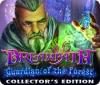เกมส์ Dreampath: Guardian of the Forest Collector's Edition