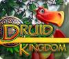 เกมส์ Druid Kingdom