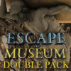 เกมส์ Escape the Museum Double Pack
