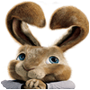 เกมส์ Hop: Easter Bunny Coloring