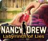 เกมส์ Nancy Drew: Labyrinth of Lies