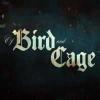 เกมส์ Of bird and cage