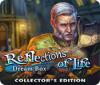 เกมส์ Reflections of Life: Dream Box Collector's Edition