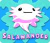 เกมส์ Salawander