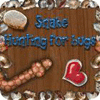 เกมส์ Snake - Hunting for Bugs