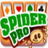เกมส์ Spider Pro