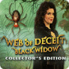 เกมส์ Web of Deceit: Black Widow Collector's Edition